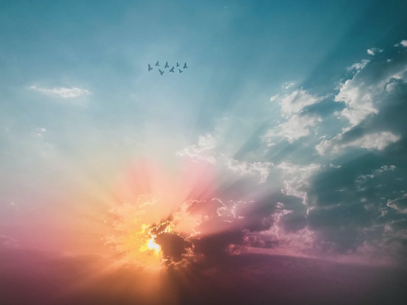 A beautiful early morning sky, with the sun breaking through the clouds in a halo of yellow, orange, pink and violet. At a far distance, 7 birds are in flight.